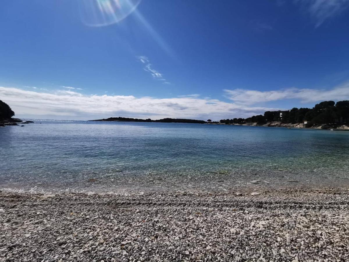 Black Pearl - Luxury Seaside App With Pool & Bbq, Istra Banjole Exterior foto
