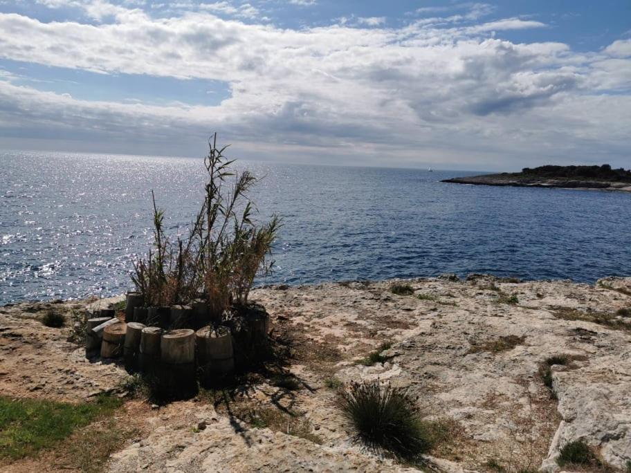 Black Pearl - Luxury Seaside App With Pool & Bbq, Istra Banjole Exterior foto